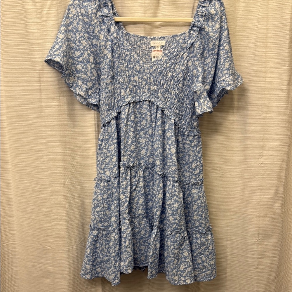 NWT Blue Floral Mini Dress